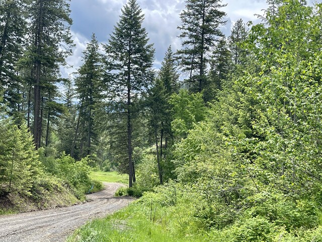 842LOT5 Valley-Westside Rd, Colville, WA 99114 - photo 6
