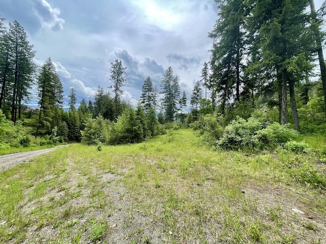 842LOT5 Valley-Westside Rd, Colville, WA 99114 - photo 9