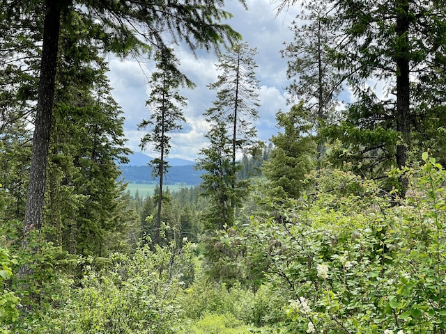 842LOT5 Valley-Westside Rd, Colville, WA 99114 - photo 10