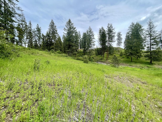 842LOT5 Valley-Westside Rd, Colville, WA 99114 - photo 12
