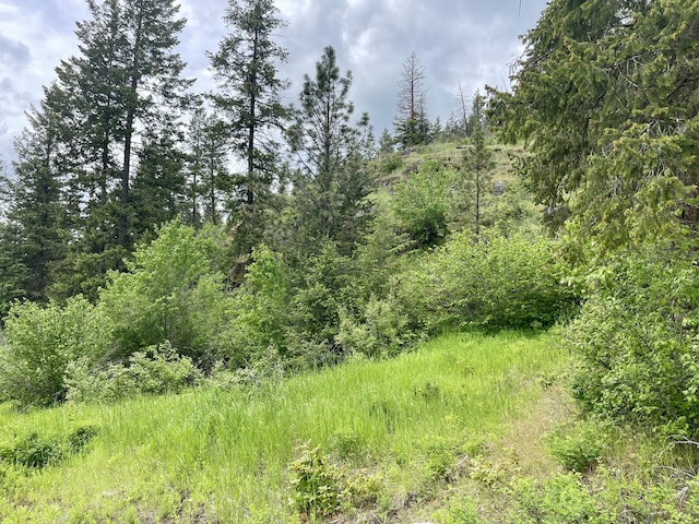 842LOT5 Valley-Westside Rd, Colville, WA 99114 - photo 11