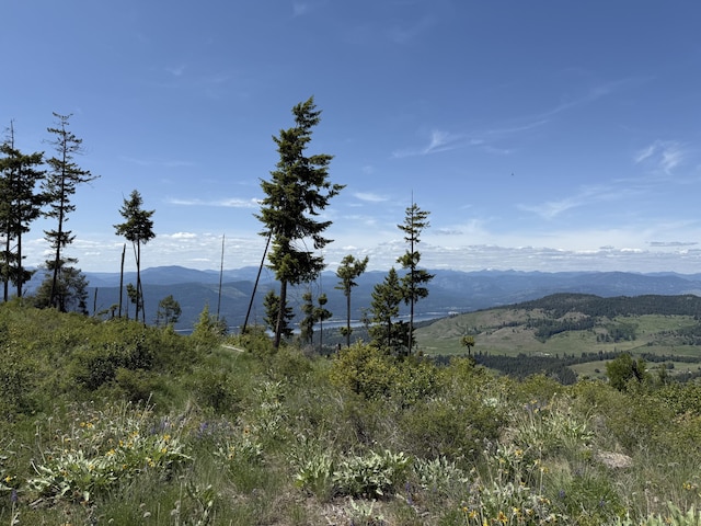 3774-C Daisy Mine Rd, Rice, WA 99167