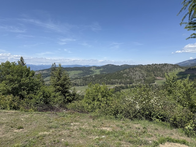 3774-C Daisy Mine Rd, Rice, WA 99167