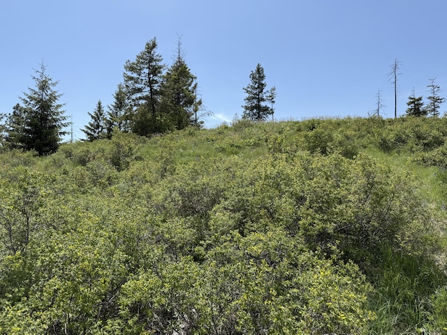 3774-C Daisy Mine Rd, Rice, WA 99167