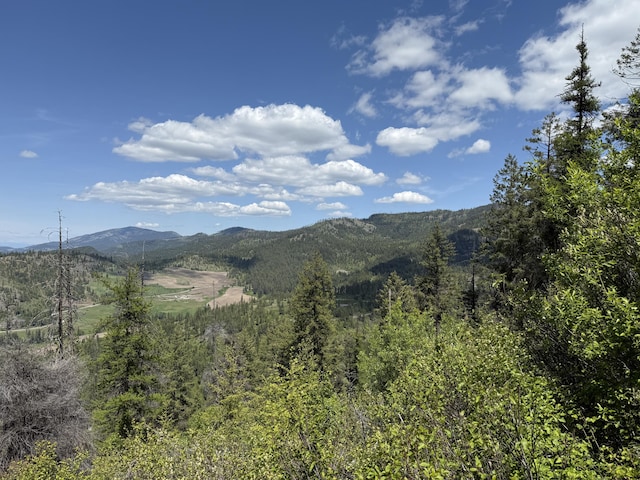 3774-C Daisy Mine Rd, Rice, WA 99167