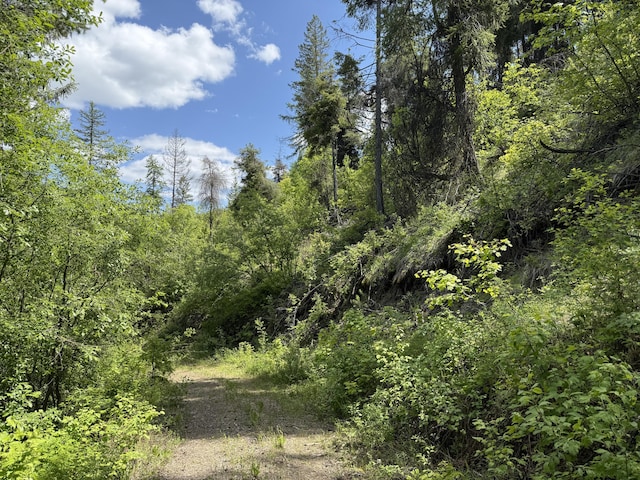 3774-C Daisy Mine Rd, Rice, WA 99167