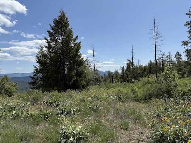 3774-C Daisy Mine Rd, Rice, WA 99167