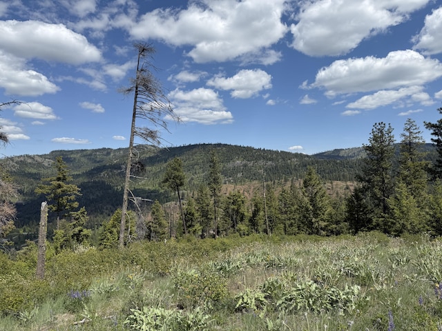 3774-C Daisy Mine Rd, Rice, WA 99167