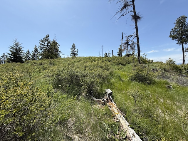 3774-C Daisy Mine Rd, Rice, WA 99167