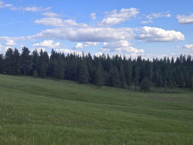 5266 Wagner Rd, Springdale, WA 99173