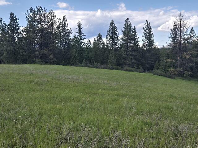 5266 Wagner Rd, Springdale, WA 99173