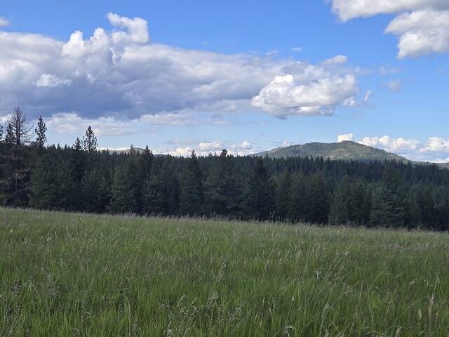 5266 Wagner Rd, Springdale, WA 99173