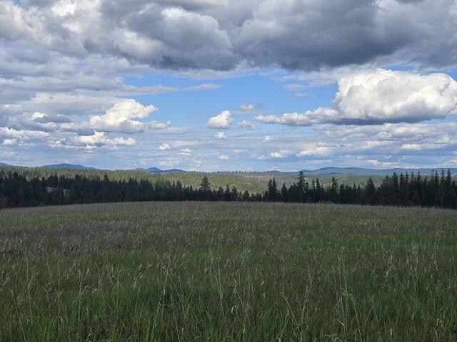 5266 Wagner Rd, Springdale, WA 99173