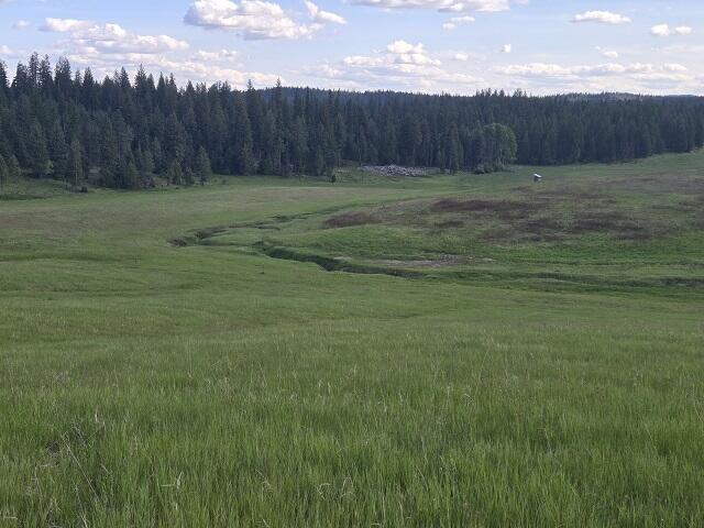 5266 Wagner Rd, Springdale, WA 99173