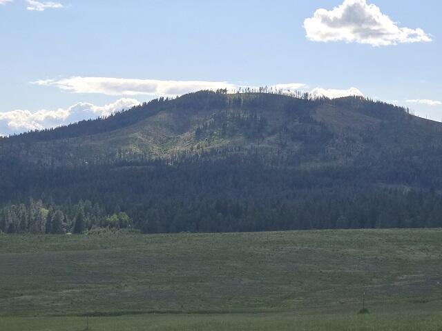 5266 Wagner Rd, Springdale, WA 99173