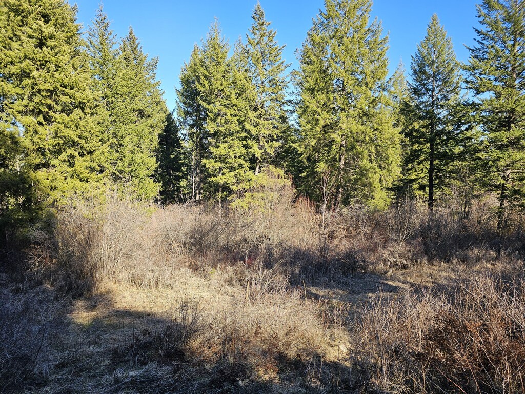 3378 H Hill Loop Rd, Kettle Falls, WA 99141 - photo 1