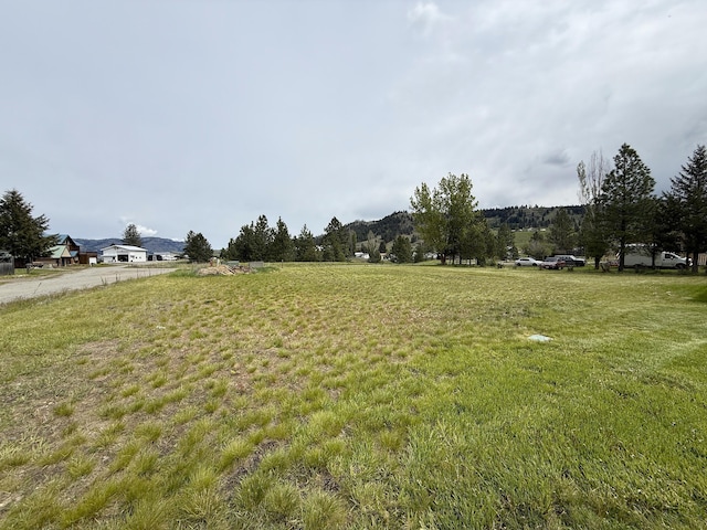 49 Sandpiper Way, Republic, WA 99166 - view of grassy yard