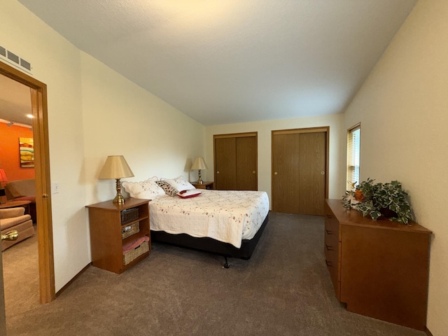 49 Sandpiper Way, Republic, WA 99166 - bedroom featuring two closets, dark colored carpet, and lofted ceiling