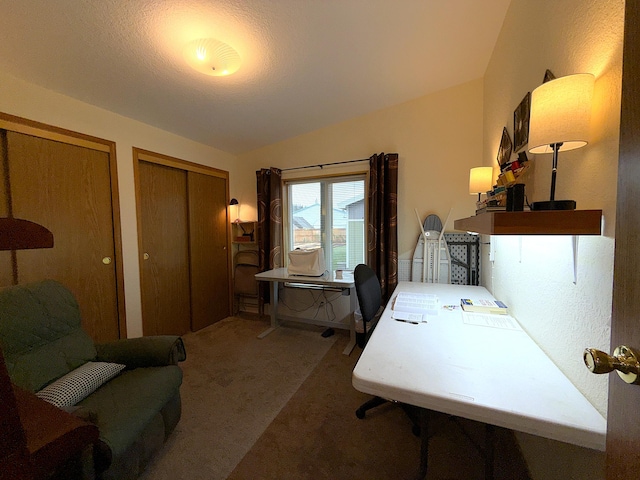 49 Sandpiper Way, Republic, WA 99166 - carpeted home office featuring vaulted ceiling