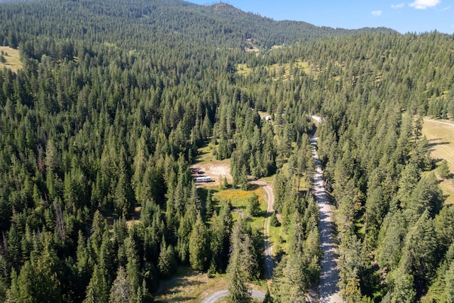 767 Finley Gulch Rd, Colville, WA 99114 - photo 19