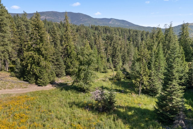 767 Finley Gulch Rd, Colville, WA 99114 - photo 14