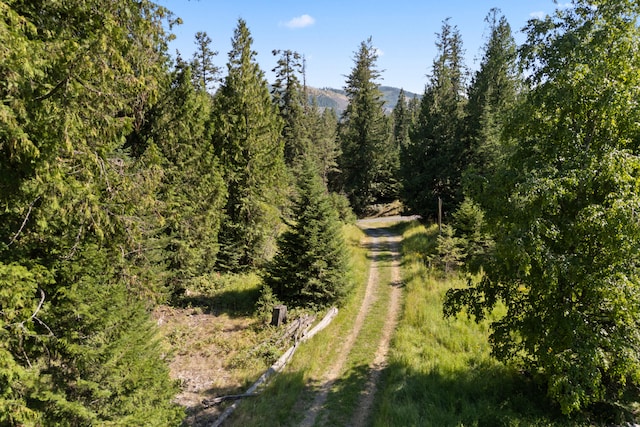 767 Finley Gulch Rd, Colville, WA 99114 - photo 15