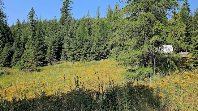 767 Finley Gulch Rd, Colville, WA 99114 - photo 41