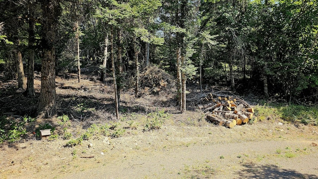 767 Finley Gulch Rd, Colville, WA 99114 - photo 40