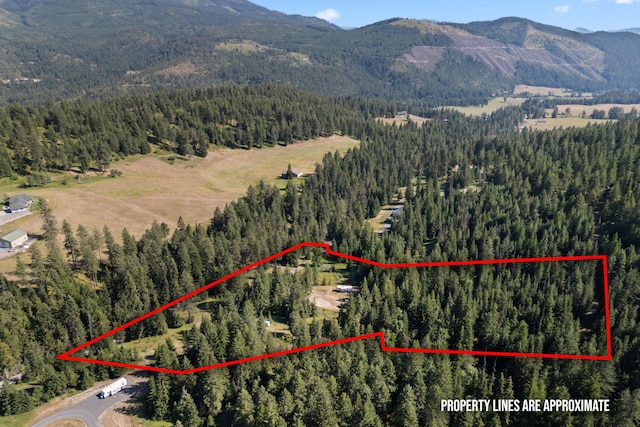767 Finley Gulch Rd, Colville, WA 99114 - photo 11