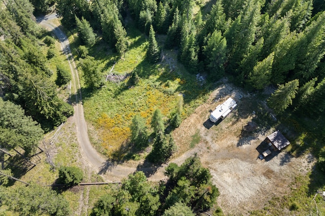 767 Finley Gulch Rd, Colville, WA 99114 - photo 13