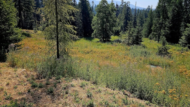 767 Finley Gulch Rd, Colville, WA 99114 - photo 39