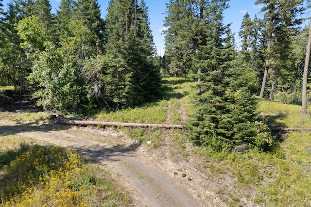 767 Finley Gulch Rd, Colville, WA 99114 - photo 16