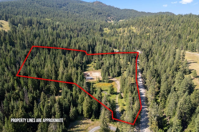 767 Finley Gulch Rd, Colville, WA 99114 - photo 10