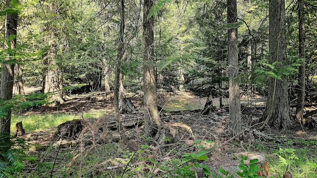 767 Finley Gulch Rd, Colville, WA 99114 - photo 27