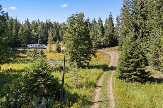 767 Finley Gulch Rd, Colville, WA 99114 - photo 6