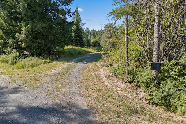767 Finley Gulch Rd, Colville, WA 99114 - photo 5