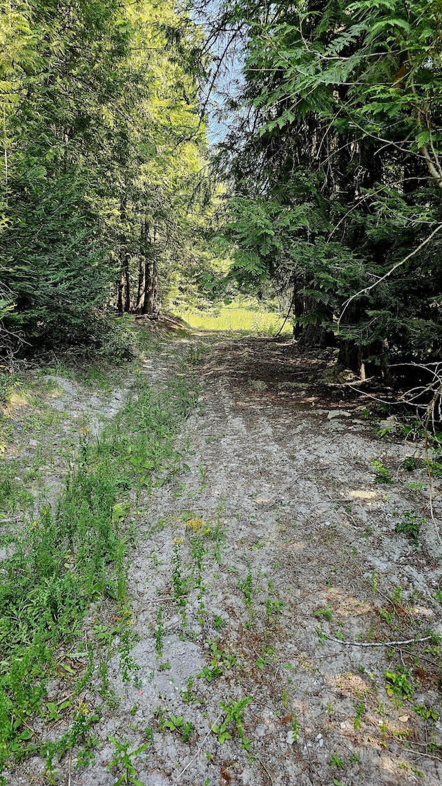 767 Finley Gulch Rd, Colville, WA 99114 - photo 26