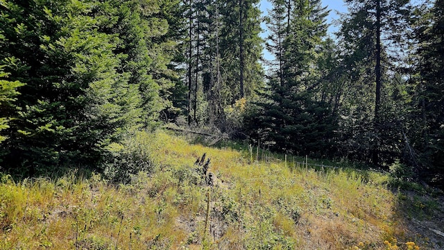 767 Finley Gulch Rd, Colville, WA 99114 - photo 29