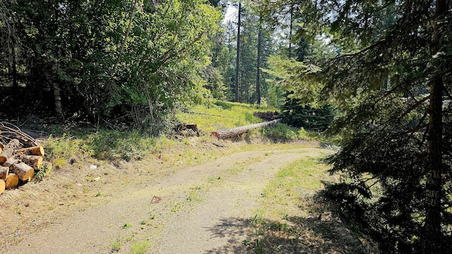 767 Finley Gulch Rd, Colville, WA 99114 - photo 43