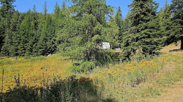 767 Finley Gulch Rd, Colville, WA 99114 - photo 42