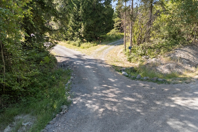 767 Finley Gulch Rd, Colville, WA 99114 - photo 4