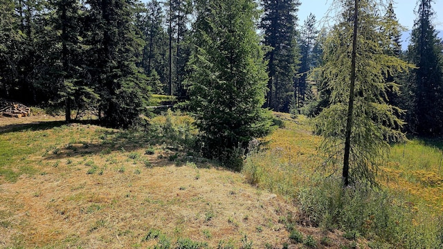 767 Finley Gulch Rd, Colville, WA 99114 - photo 38