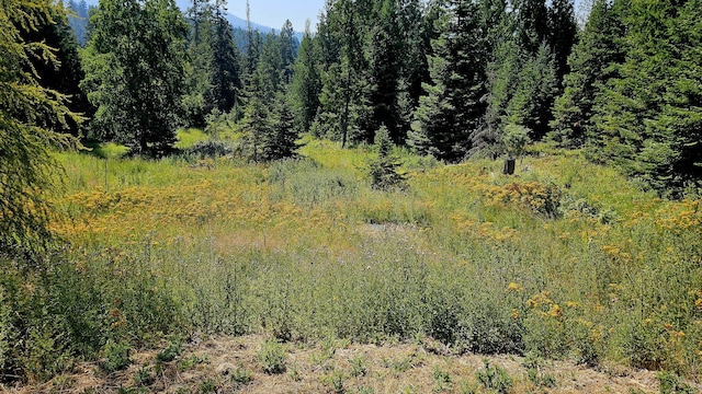767 Finley Gulch Rd, Colville, WA 99114 - photo 9