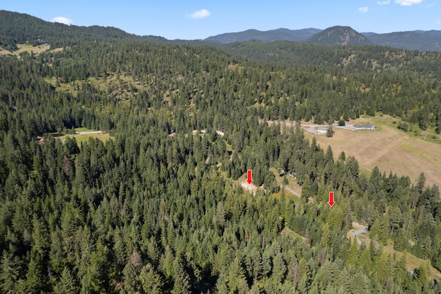 767 Finley Gulch Rd, Colville, WA 99114 - photo 17