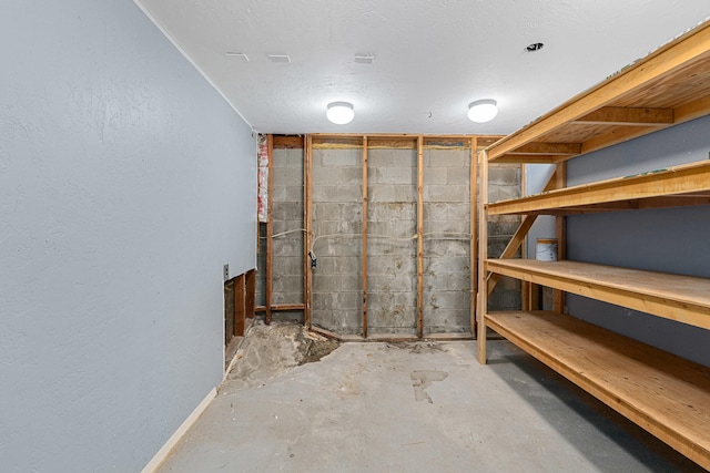 2184 Clugston Onion Creek Rd, Colville, WA 99114 - unfinished below grade area featuring a textured wall