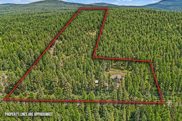 2184 Clugston Onion Creek Rd, Colville, WA 99114 - view of property location featuring a forest and property parcel outlined