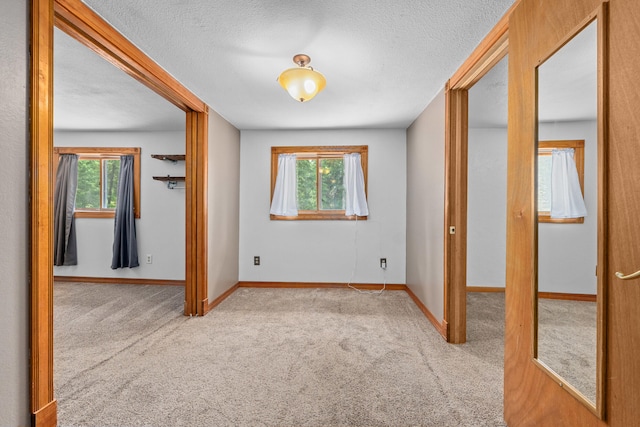 2184 Clugston Onion Creek Rd, Colville, WA 99114 - carpeted empty room with plenty of natural light and a textured ceiling