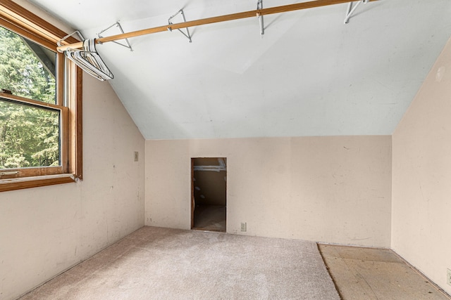 2184 Clugston Onion Creek Rd, Colville, WA 99114 - bonus room with plenty of natural light, vaulted ceiling, and carpet
