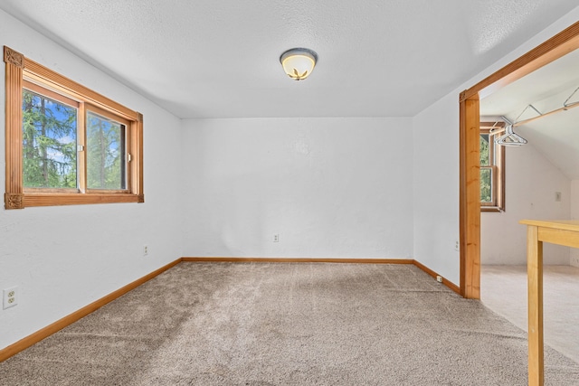 2184 Clugston Onion Creek Rd, Colville, WA 99114 - carpeted spare room featuring a textured ceiling