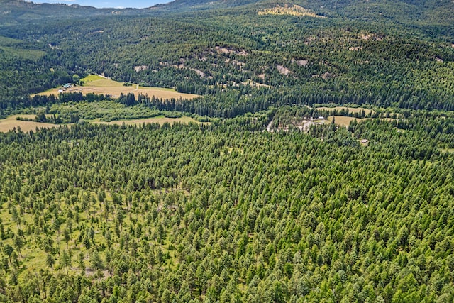 2184 Clugston Onion Creek Rd, Colville, WA 99114 - bird's eye view of a heavily wooded area and a mountain backdrop